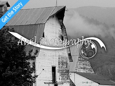 Avril Photography Story
